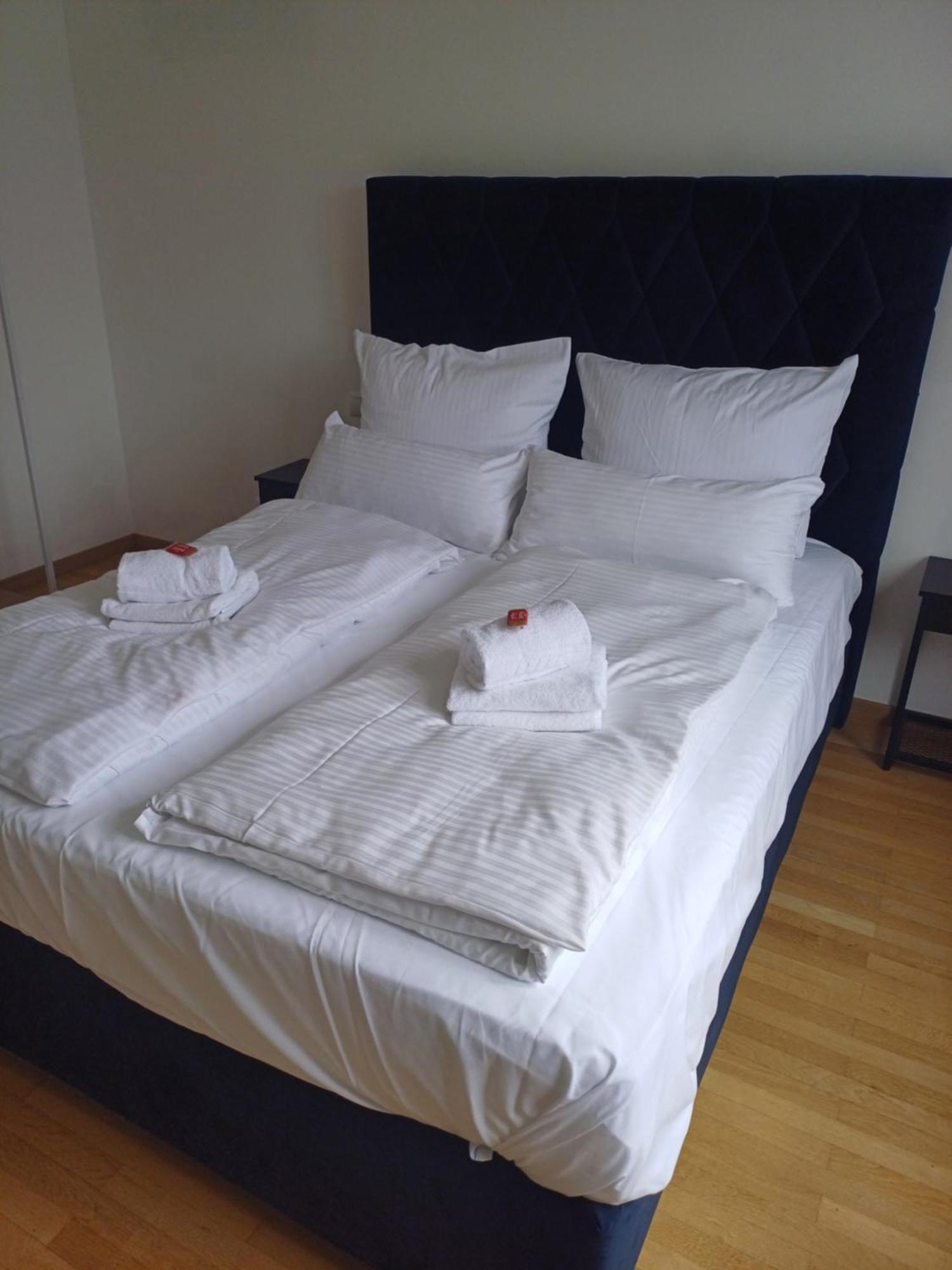 Crown Living Design Apartment - 2 Schlafzimmer - Kueche - Gratis Parkplatz - Abstellraum Fuer Fahrraeder/Ski Mader Zewnętrze zdjęcie